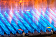 Auchmuty gas fired boilers